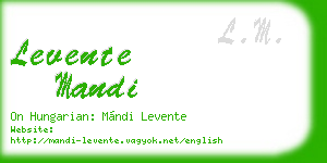 levente mandi business card