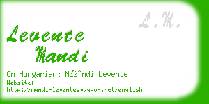 levente mandi business card